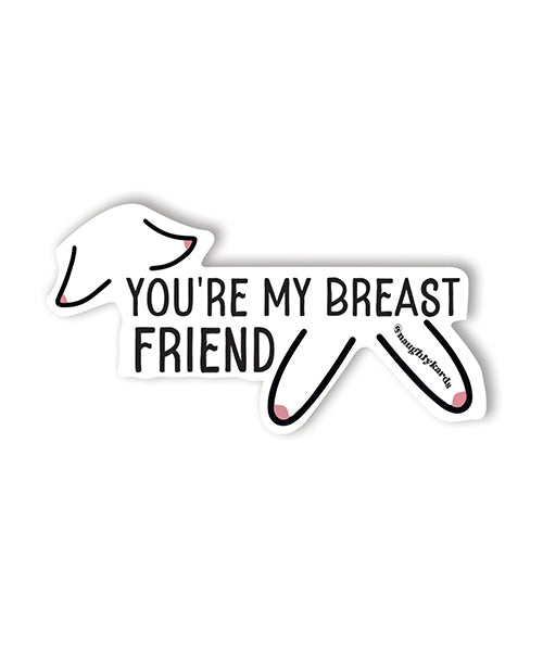 Breast Friend Sticker Pack Of 3 Nefarious By Design 